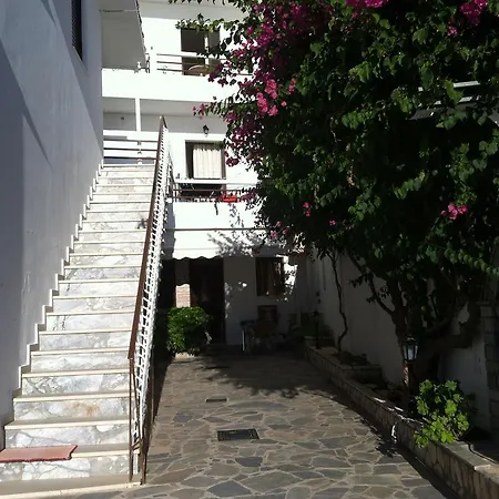 Leonidas Vasiliki